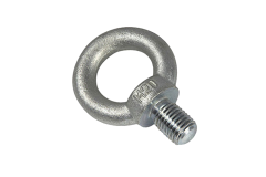 Z�vesn� skrutka s okom M12 DIN580 ZN