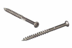 Terasov� skrutka 4�60mm TX AISI410