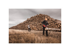 MILWAUKEE BOLT� �t�t mrie�ka Universal 1ks