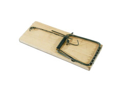 Dreven� pasca na my�i 1 ks.