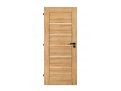 Dvere DEFENDOOR NEGRA PP 70cm �av� dub Grandson